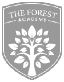 Forest-Academy-3